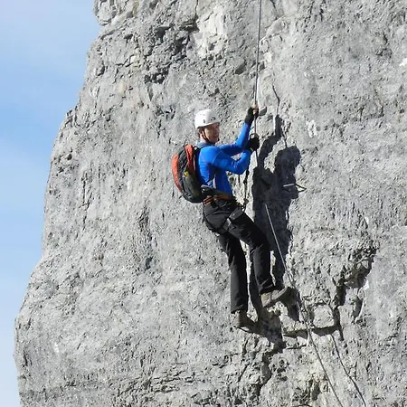 Wiesenhof 3*