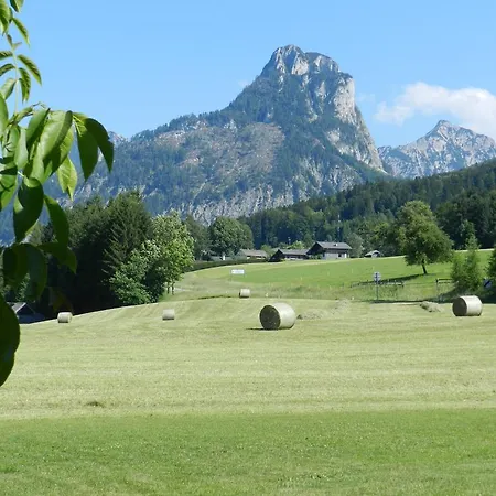 Wiesenhof Strobl