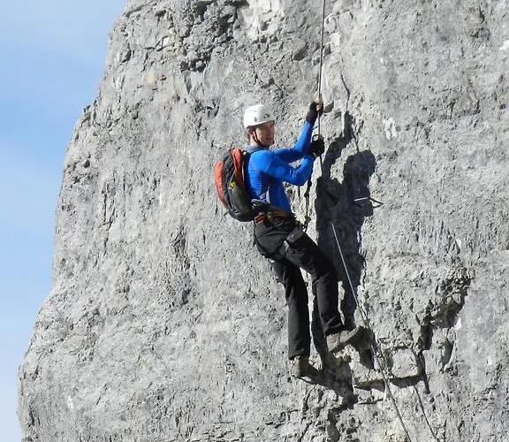 Wiesenhof 3*